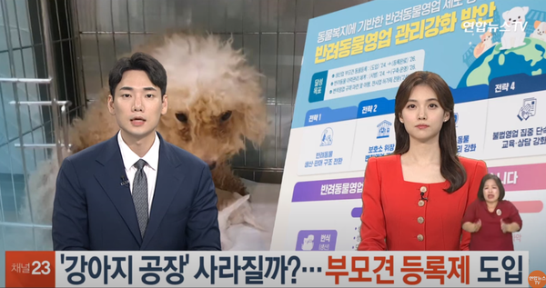 사진 연합뉴스TV 관련화면 캡쳐