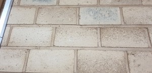 [이백자 칼럼] '비루빡' '손뼉'... - 뉴스 썸네일 이미지